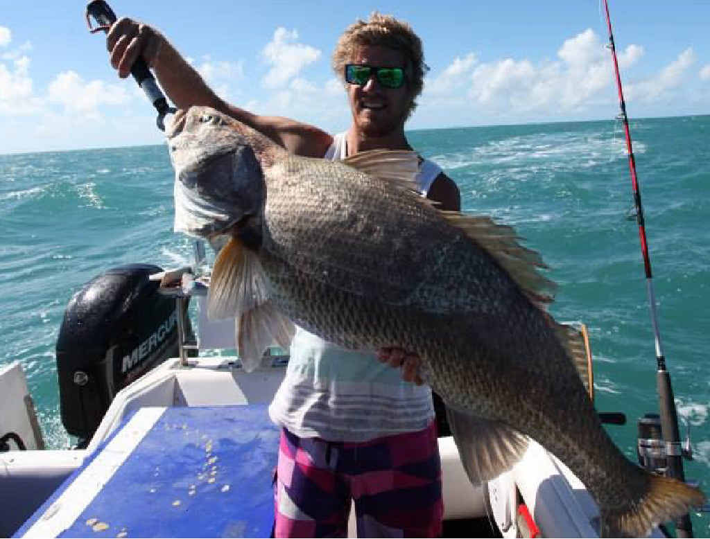 Ben Campbell with a prime Stanage black mulloway. Ben Campbell with a prime Stanage black mulloway.